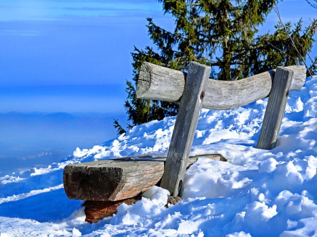 Vesterberg Apartments In Top Lage - Top Lage Schladming Zewnętrze zdjęcie